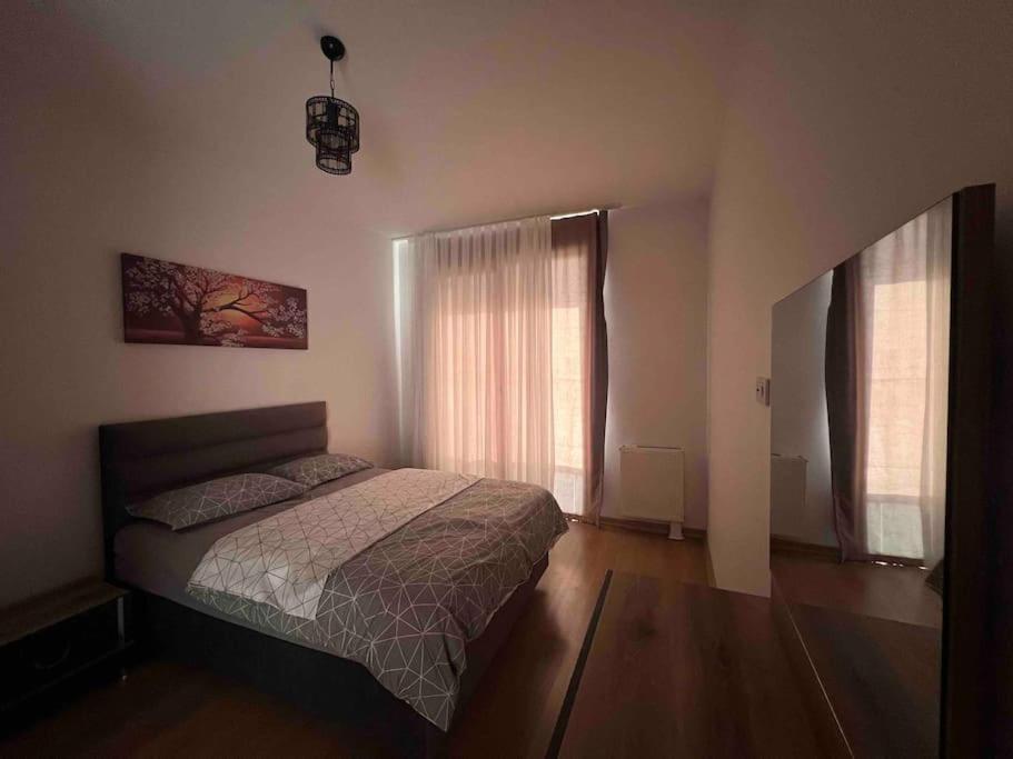 Cozy Homes - 2 & 1 Living Daire